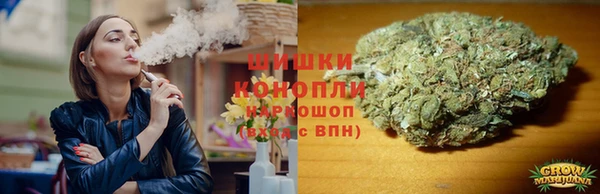PSILOCYBIN Богданович