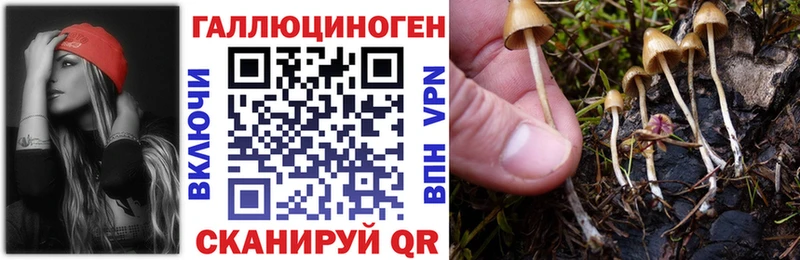 Купить Элиста Псилоцибиновые грибы мухоморы